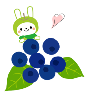 ブルーベリー
