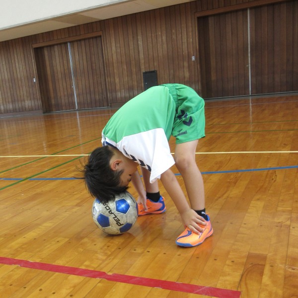 ガイナーレ15