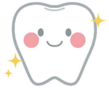 歳までの歯について