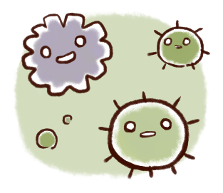 家の中のカビ