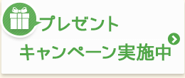 キャンペーン実施中