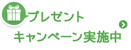 キャンペーン実施中